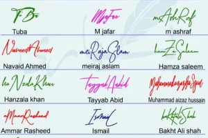Different Signature Styles