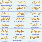21 Mix Names Handwritten Signatures