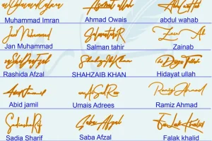 21 Mix Names Handwritten Signatures