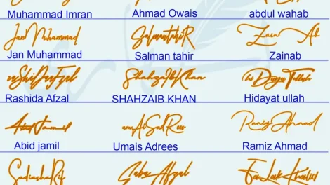 21 Mix Names Handwritten Signatures